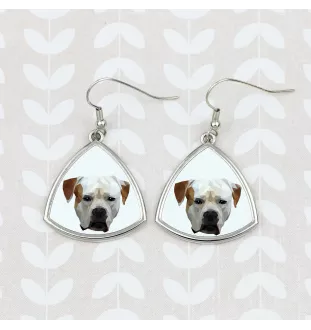 Bouledogue américain - boucles d'oreilles avec une photo et un motif de chien géométrique Art-Dog