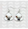 American Bulldog, Old Country Bulldog - earrings with a picture and the inscription geometric dog Art-Dog