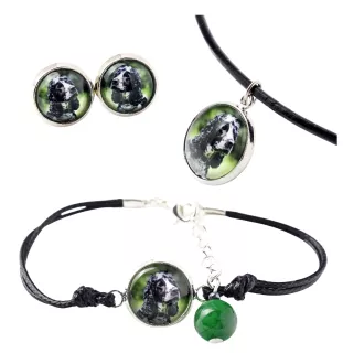American Cocker Spaniel, Merry Cocker - a set of jewelry in a box, necklace, earrings, bracelet, products from the Art-Dog brand