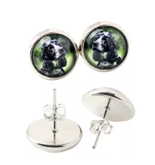 American Cocker Spaniel, Merry Cocker - earrings in a box, your photo, handmade jewelry, a product of the Art-Dog brand