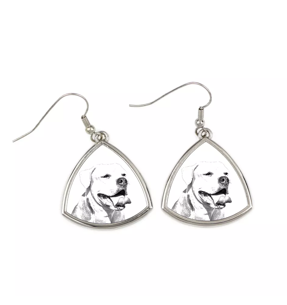 Bouledogue américain - boucles d'oreilles avec chien, boucles d'oreilles pendantes avec photo, bijoux personnalisés avec impression de la marque Art-Dog