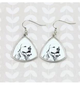 American Bulldog, Amerikanische Bulldogge - Hund Ohrringe, hängende Ohrringe mit Bild, personalisierter Schmuck mit dem Aufdruck der Marke Art-Dog