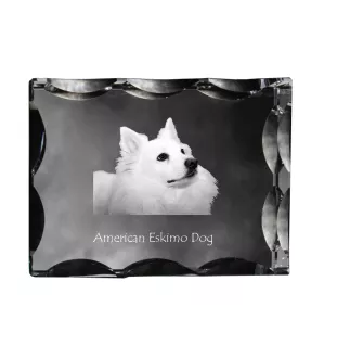 American Eskimo Dog ramka kryształowa z psem Art-Dog