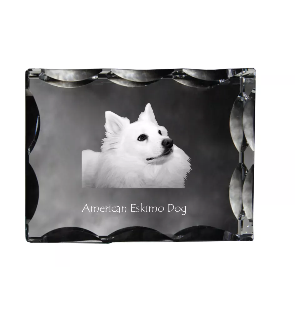 Esquimau américain, American Eskimo Dog, American Spitz - cristal avec photo de chien, statuette en verre avec photo, cadre exceptionnel avec photo de la marque Art-Dog