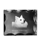 Esquimau américain, American Eskimo Dog, American Spitz - cristal avec photo de chien, statuette en verre avec photo, cadre exceptionnel avec photo de la marque Art-Dog