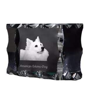 Esquimau américain, American Eskimo Dog, American Spitz - cristal avec photo de chien, statuette en verre avec photo, cadre exceptionnel avec photo de la marque Art-Dog
