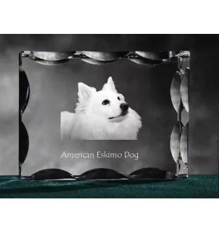 Esquimau américain, American Eskimo Dog, American Spitz - cristal avec photo de chien, statuette en verre avec photo, cadre exceptionnel avec photo de la marque Art-Dog