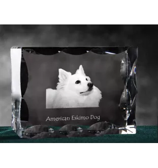 American Eskimo Dog, American Spitz, Eskie - Kristall mit einem Hundebild, Glasstatuette mit einem Bild, einzigartiger Bilderrahmen der Marke Art-Dog