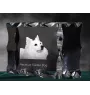 American Eskimo Dog, American Spitz, Eskie - Kristall mit einem Hundebild, Glasstatuette mit einem Bild, einzigartiger Bilderrahmen der Marke Art-Dog