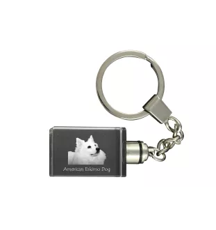 American Eskimo Dog, American Spitz, Eskie - Schlüsselanhänger aus Kristall mit Hundefoto, beleuchteter Schlüsselanhänger, einzigartiges Geschenk der Marke Art-Dog