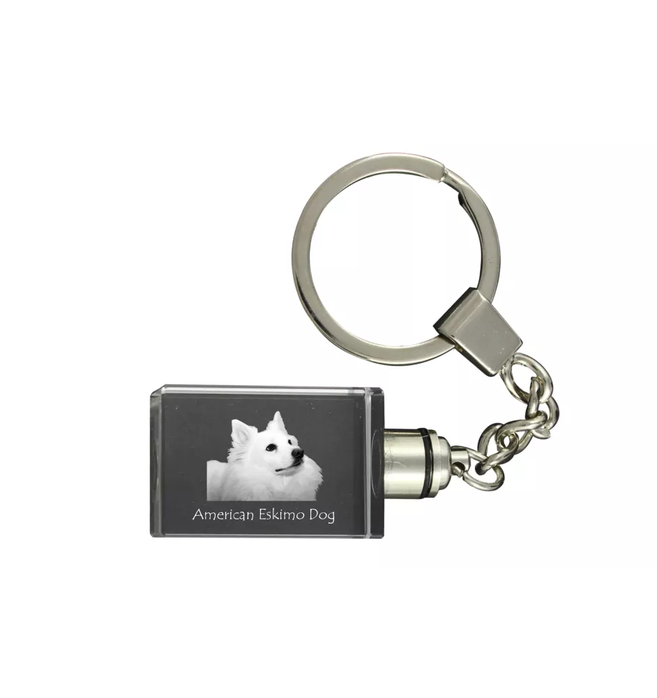 American Eskimo Dog, American Spitz, Eskie - Schlüsselanhänger aus Kristall mit Hundefoto, beleuchteter Schlüsselanhänger, einzigartiges Geschenk der Marke Art-Dog
