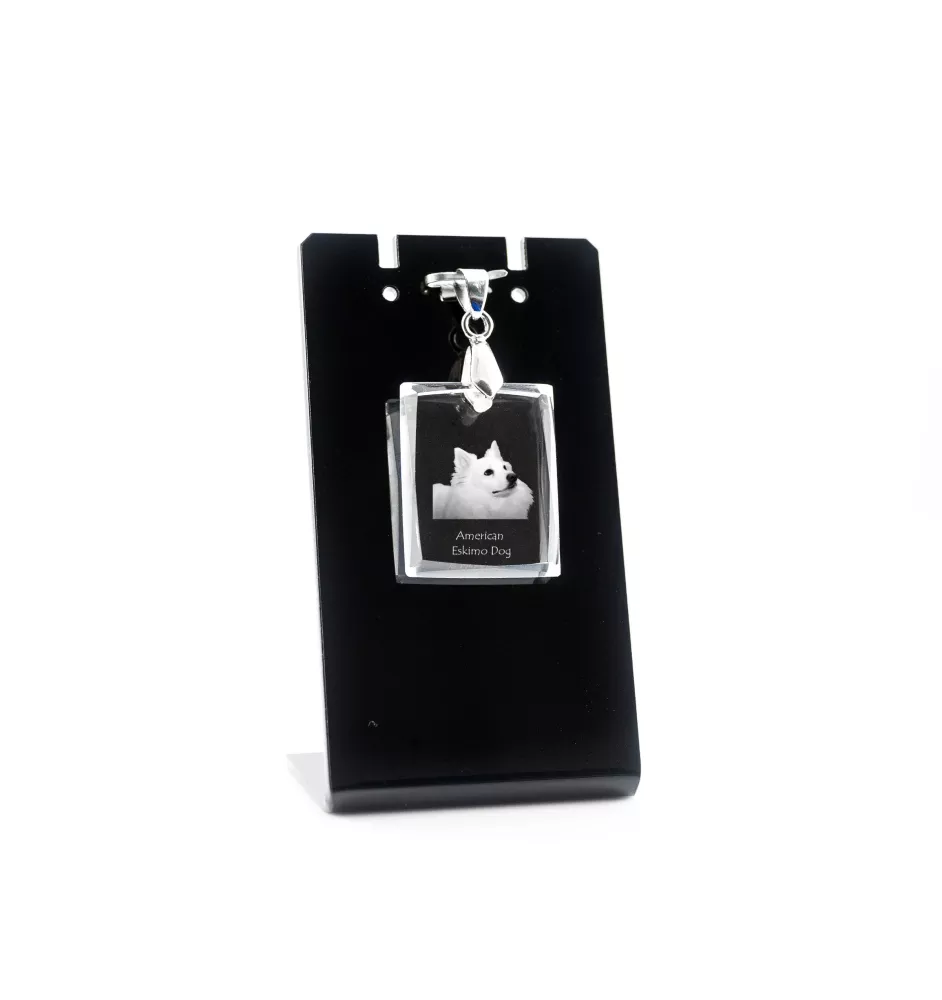 Esquimau américain, American Eskimo Dog, American Spitz - Pendentif chien en cristal, collier photo, bijoux uniques par Art-Dog