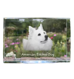 American Eskimo Dog kryształ z psem Art-Dog