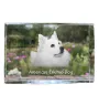 American Eskimo Dog, American Spitz, Eskie - Kristall mit einem Hundebild, Bild im Glas, moderne Ausstellung des Art-Dog-Bildes.
