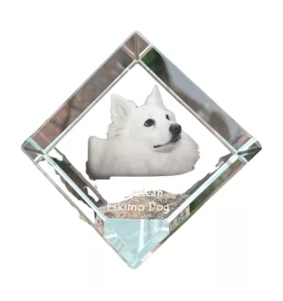 American Eskimo Dog, American Spitz, Eskie - Kristallwürfel mit Bild, Pferdebild im Kristall, sechseckiger Papierclip der Marke Art-Dog