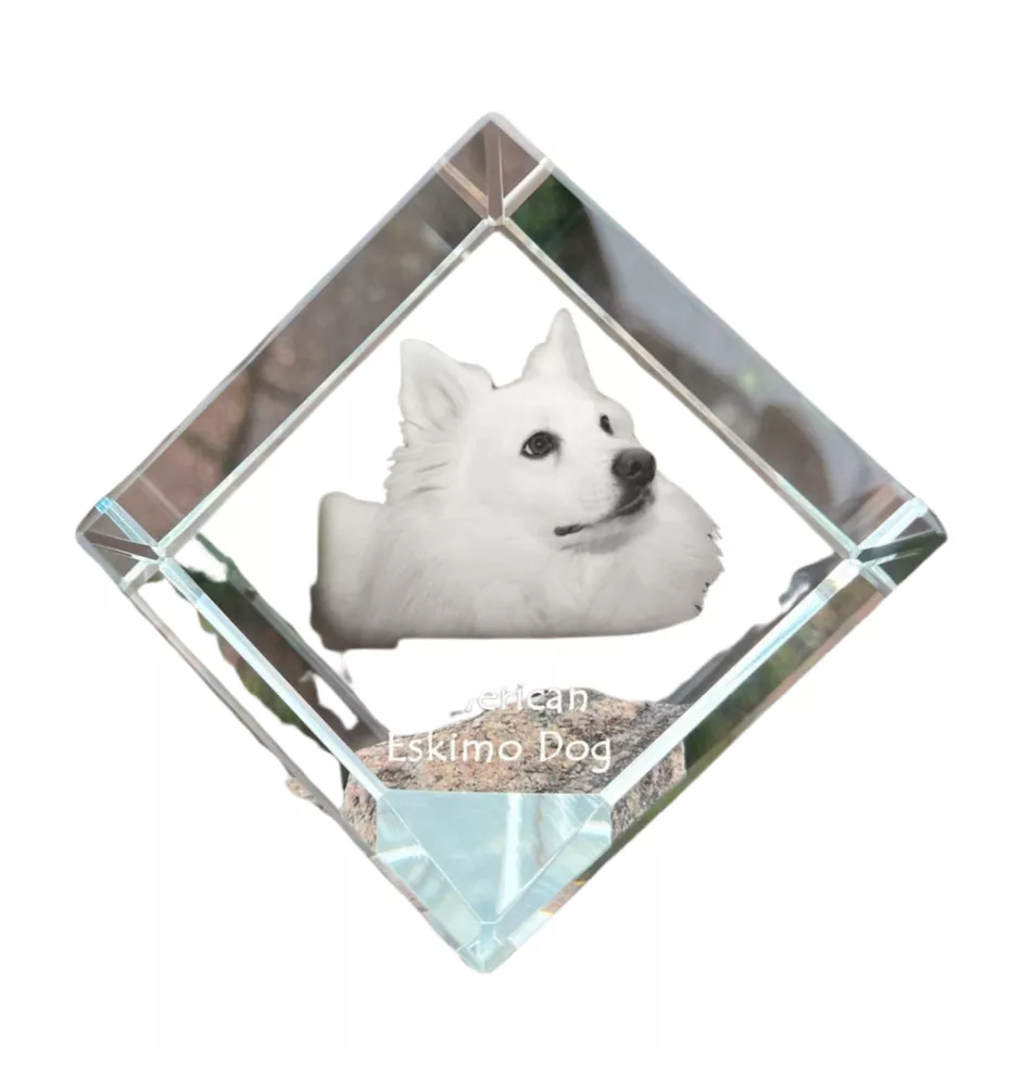 American Eskimo Dog, American Spitz, Eskie - Kristallwürfel mit Bild, Pferdebild im Kristall, sechseckiger Papierclip der Marke Art-Dog
