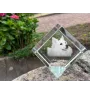Esquimau américain, American Eskimo Dog, American Spitz - un cube de cristal avec une photo, une photo de cheval dans le cristal, un presse-papiers cubique de la marque Art-Dog