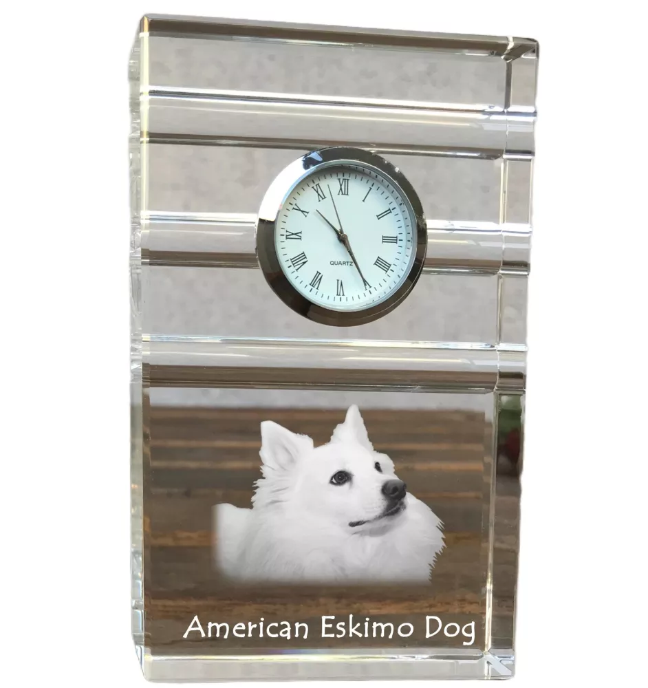American Eskimo Dog zegar trój-paskowy z psem Art-Dog