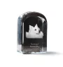 Esquimau américain, American Eskimo Dog, American Spitz - un cube de cristal avec une photo, une photo de chien dans le cristal, un presse-papiers cubique de la marque Art-Dog