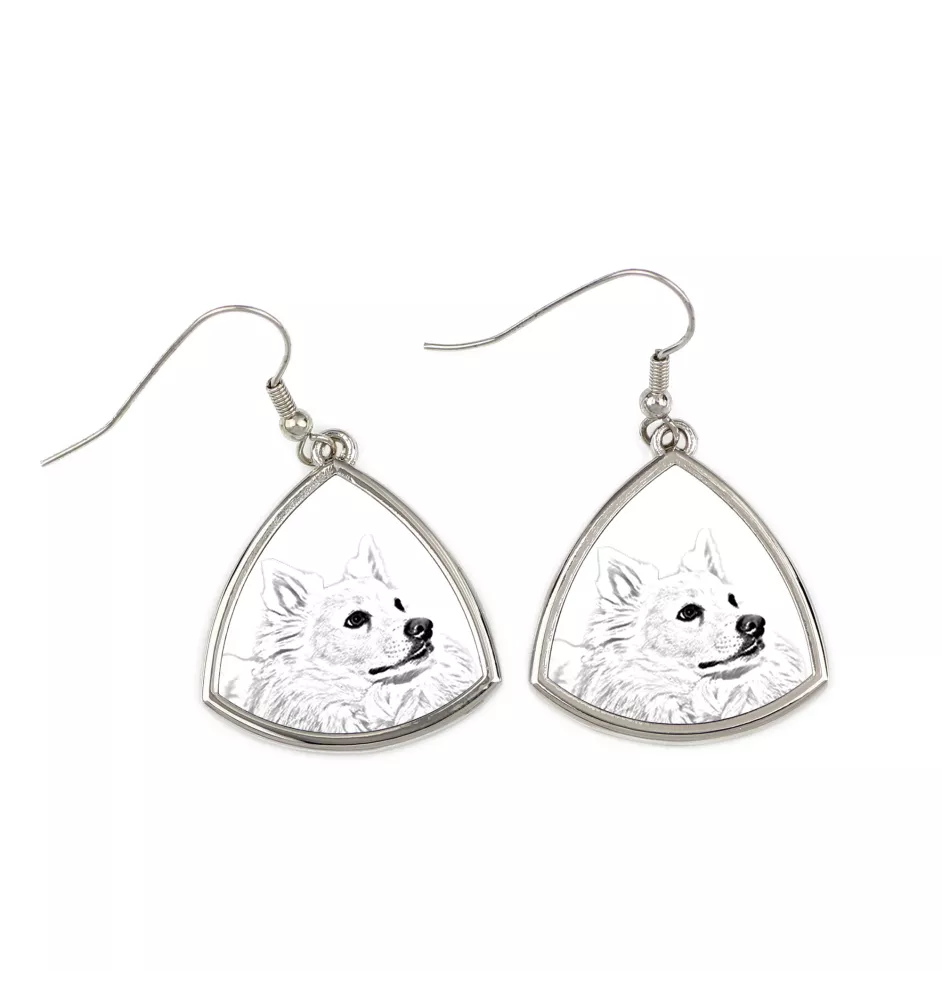 Esquimau américain, American Eskimo Dog, American Spitz - boucles d'oreilles avec chien, boucles d'oreilles pendantes avec photo, bijoux personnalisés avec impression de la marque Art-Dog