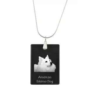 Esquimau américain, American Eskimo Dog, American Spitz - Pendentif en cristal avec chien, collier en argent avec photo, pendentif personnalisé par la marque Art-Dog
