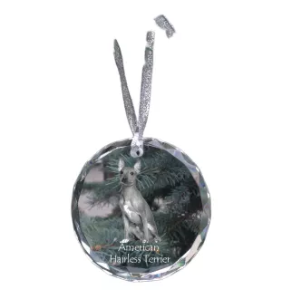 American Hairless Terrier - boule de Noël en cristal avec une photo, photo de chien dans le cristal, décoration personnalisée pour sapin de Noël de la marque Art-Dog