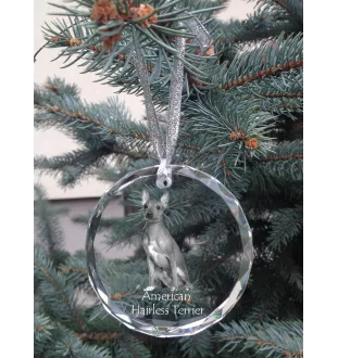 American Hairless Terrier - crystal bauble with a photo, dog photo in crystal, personalized Christmas tree ornament by Art-Dog brand