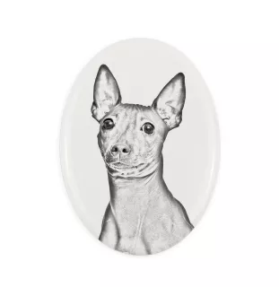 Amerykański terier bezwłosy płyta nagrobna ze zdjęciem psa Art-Dog