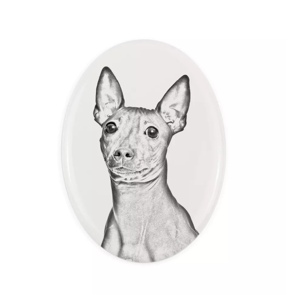 Amerykański terier bezwłosy płyta nagrobna ze zdjęciem psa Art-Dog