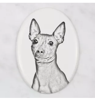 Amerykański terier bezwłosy płyta nagrobna ze zdjęciem psa Art-Dog