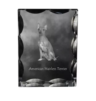 American Hairless Terrier - crystal with a picture of a dog, glass statuette with a picture, unique frame with a picture from Art-Dog brand