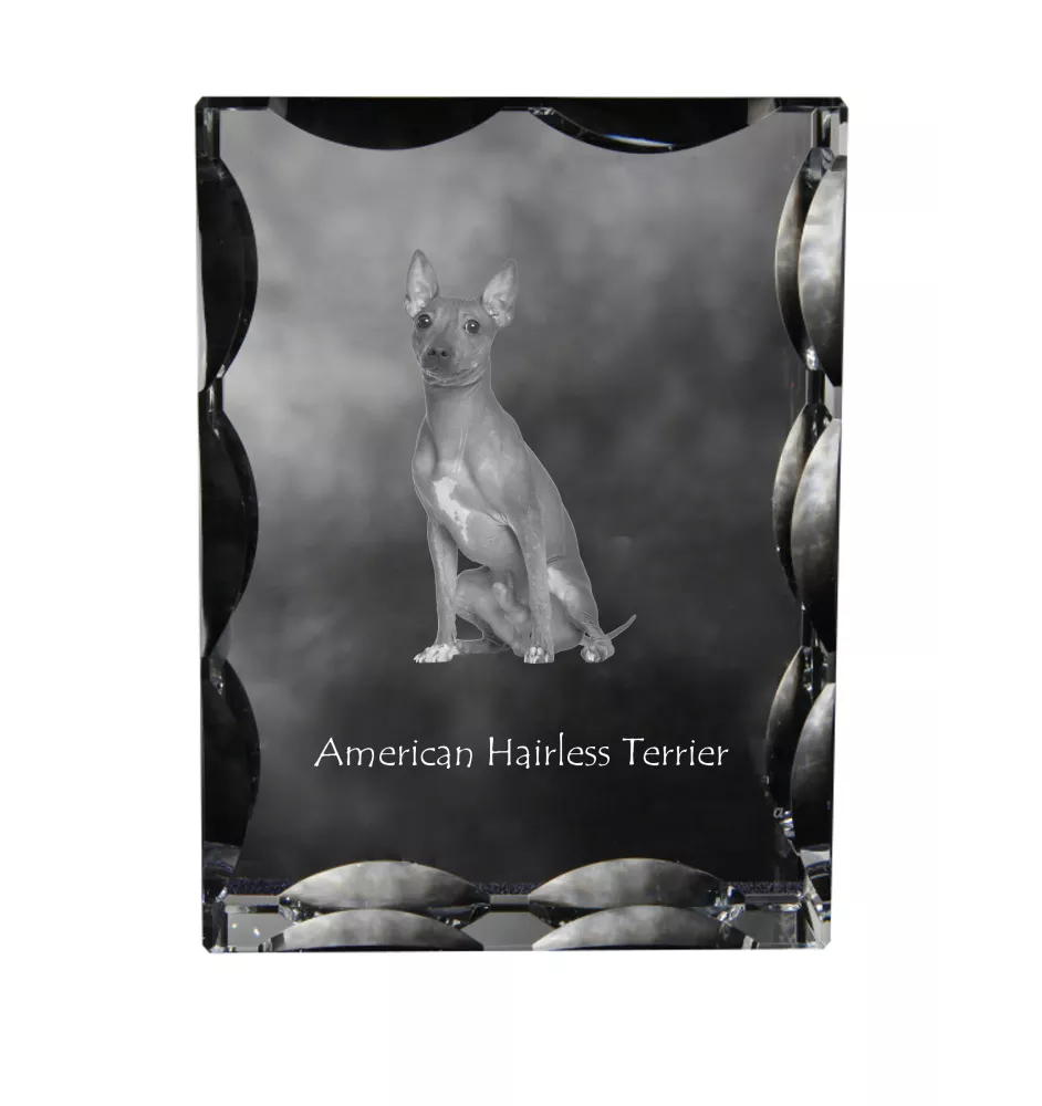 American Hairless Terrier - cristal avec photo de chien, statuette en verre avec photo, cadre exceptionnel avec photo de la marque Art-Dog
