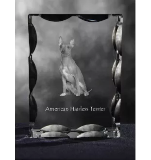 Amerykański terier bezwłosy ramka kryształowa z psem Art-Dog
