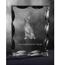 American Hairless Terrier - crystal with a picture of a dog, glass statuette with a picture, unique frame with a picture from Art-Dog brand