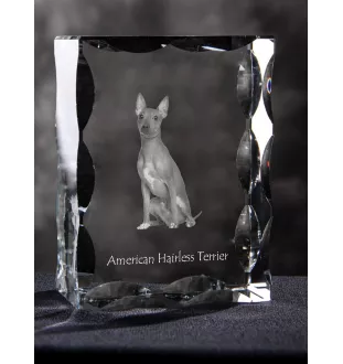 American Hairless Terrier - crystal with a picture of a dog, glass statuette with a picture, unique frame with a picture from Art-Dog brand