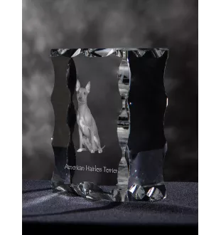 American Hairless Terrier - cristal avec photo de chien, statuette en verre avec photo, cadre exceptionnel avec photo de la marque Art-Dog