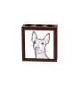 American Hairless Terrier, Amerikanischer Nackthund - Stifthalter mit Hund, Schreibtischorganizer mit Aufdruck, personalisierte Schreibtischdekoration der Marke Art-Dog