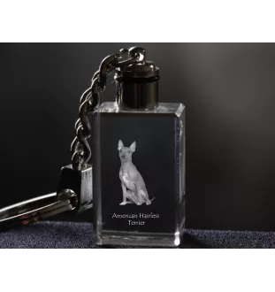 American Hairless Terrier - Porte-clés en cristal avec photo de chien, porte-clés lumineux, cadeau unique de la marque Art-Dog
