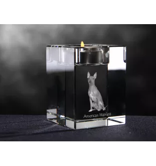 American Hairless Terrier - Candle holder with dog photo, crystal tealight holder, personalised gift by Art-Dog brand