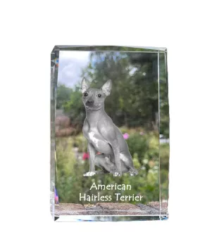 American Hairless Terrier - cristal avec une photo de chien, photo sous verre, exposition moderne de la marque de photos Art-Dog