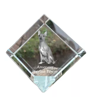 American Hairless Terrier - crystal cube with a photo, photo of a horse in crystal, cubic paperweight from Art-Dog brand