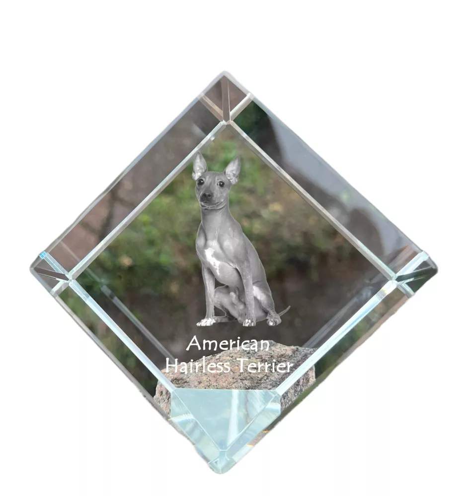 American Hairless Terrier - crystal cube with a photo, photo of a horse in crystal, cubic paperweight from Art-Dog brand