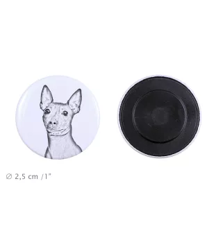 American Hairless Terrier - magnet with a dog's pupil, exceptionally light, strong magnet, handmade product by the Art-Dog brand