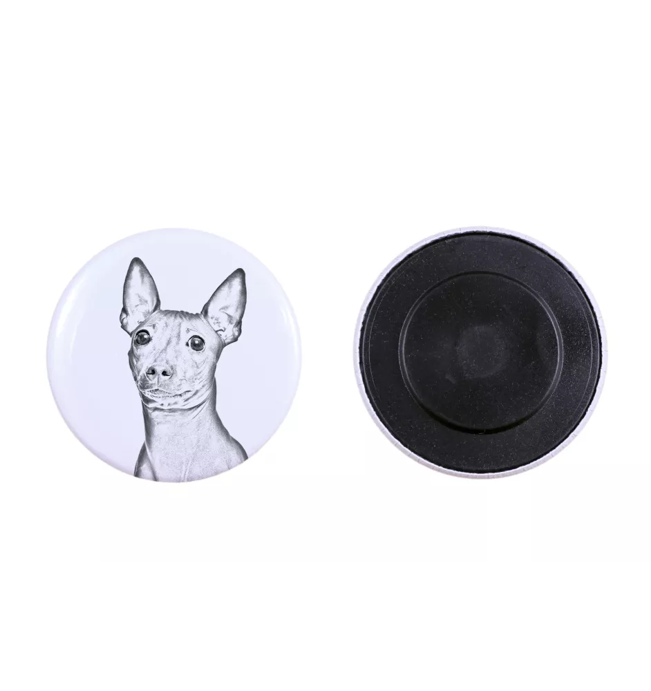 American Hairless Terrier - magnet with a dog's pupil, exceptionally light, strong magnet, handmade product by the Art-Dog brand