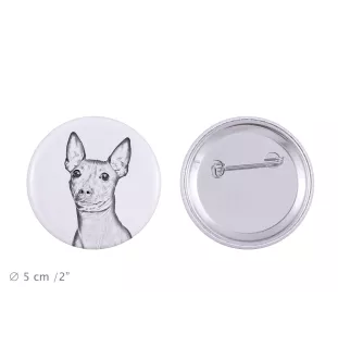 Amerykański terier bezwłosy przypinka z psem duża Art-Dog