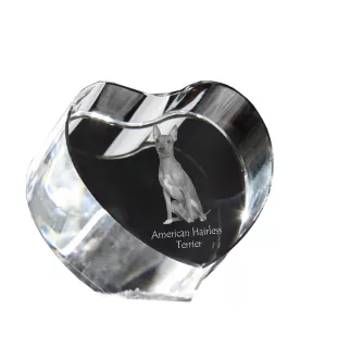 American Hairless Terrier - a photo of a dog in crystal, crystal heart, unique photo frame from the Art-Dog brand