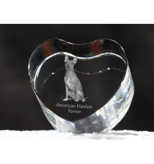 American Hairless Terrier - a photo of a dog in crystal, crystal heart, unique photo frame from the Art-Dog brand