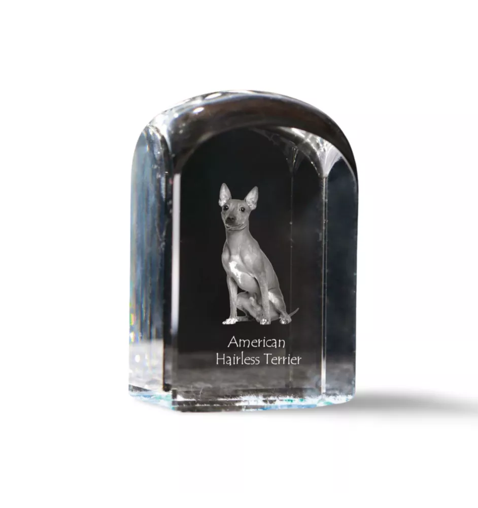 American Hairless Terrier - crystal cube with a photo, photo of a dog in crystal, cubic paperweight from Art-Dog brand