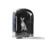 American Hairless Terrier - crystal cube with a photo, photo of a dog in crystal, cubic paperweight from Art-Dog brand