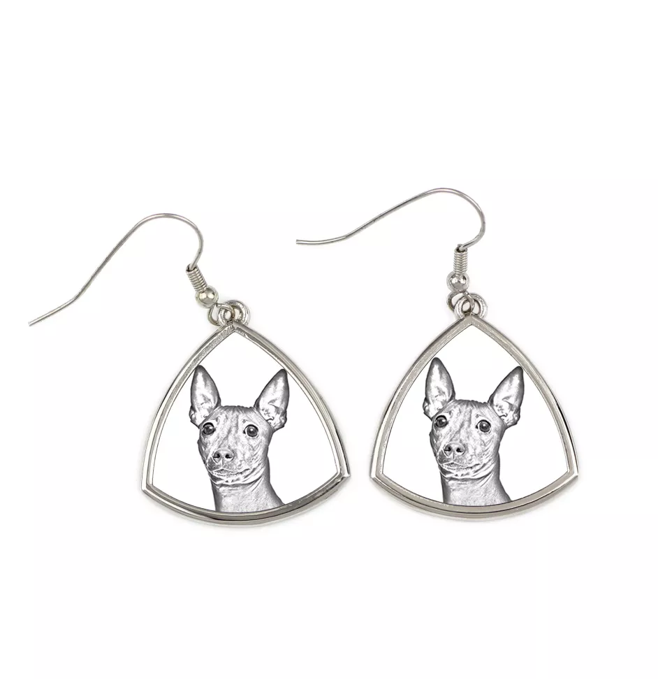 American Hairless Terrier - dog earrings, hanging earrings with a picture, personalized jewelry with Art-Dog brand print
